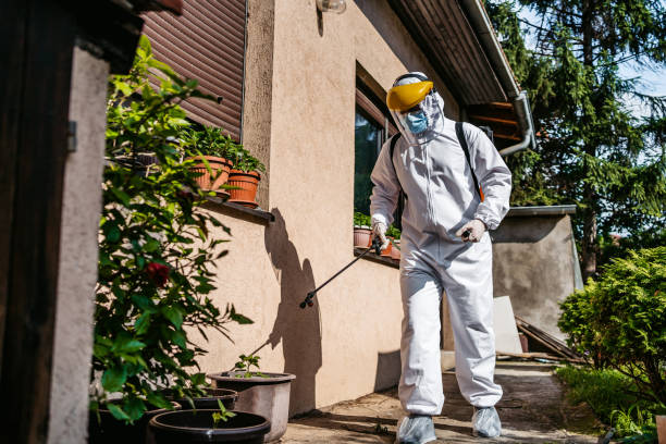 Best Pest Control Near Me  in Hlcrest, IL